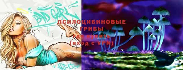 a pvp Михайловск