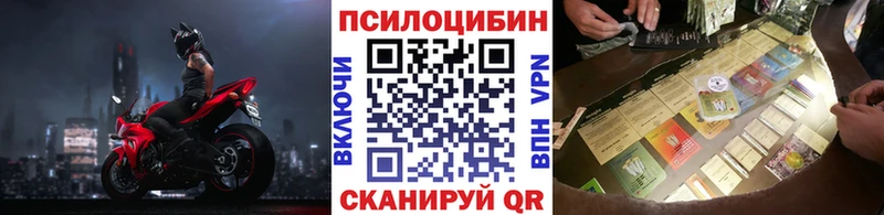 ОМГ ОМГ ТОР Назрань Псилоцибиновые грибы Psilocybine cubensis