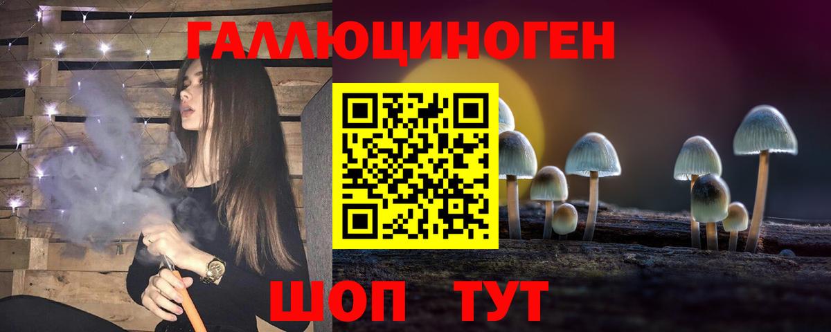 Псилоцибиновые грибы Psilocybe  Вход с VPN  Назрань 